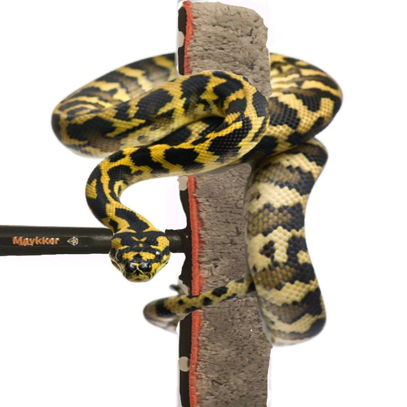Maykker Pro Python tvättpåls